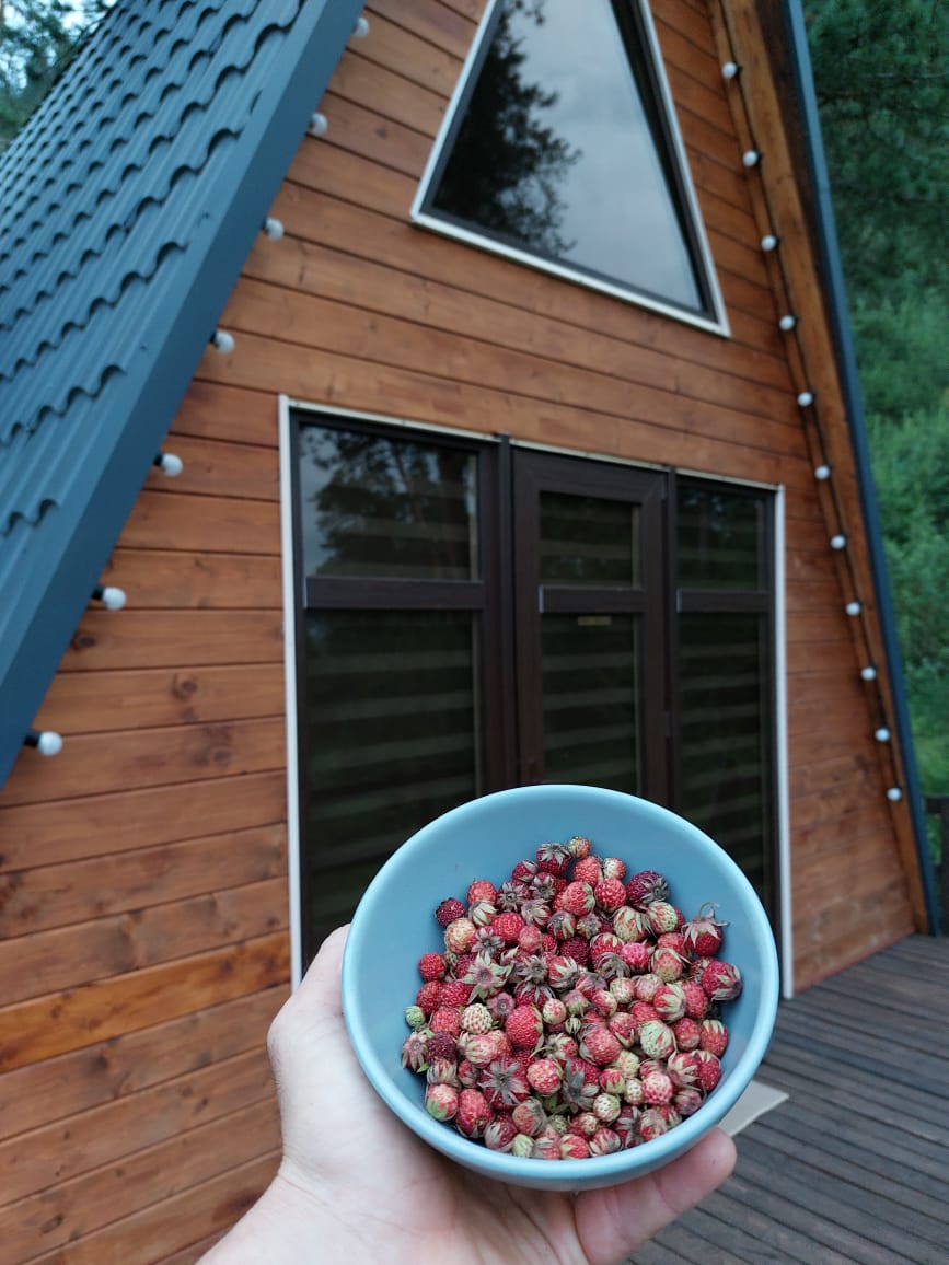Гостевой дом "Forest house" 36 м²
