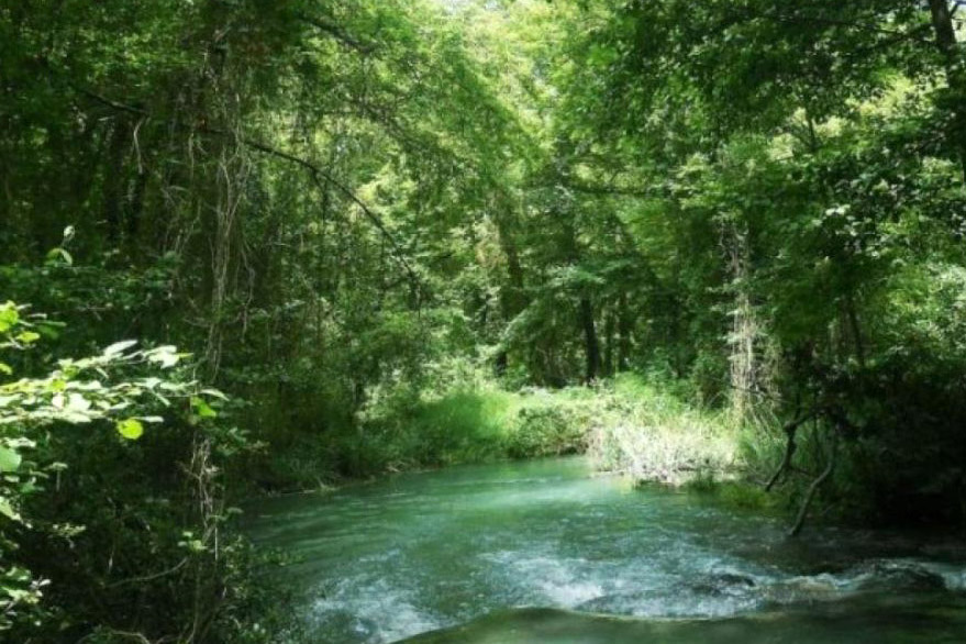 Самурский лес Самурский лес